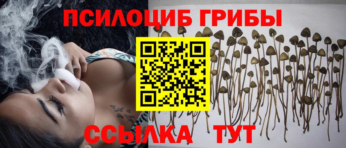 Сарапул  Галлюциногенные грибы прущие грибы  Псилоцибиновые грибы Psilocybine cubensis  Вход с VPN 