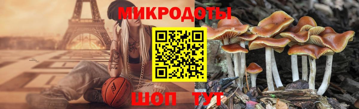 Псилоцибиновые грибы MAGIC MUSHROOMS Сарапул
